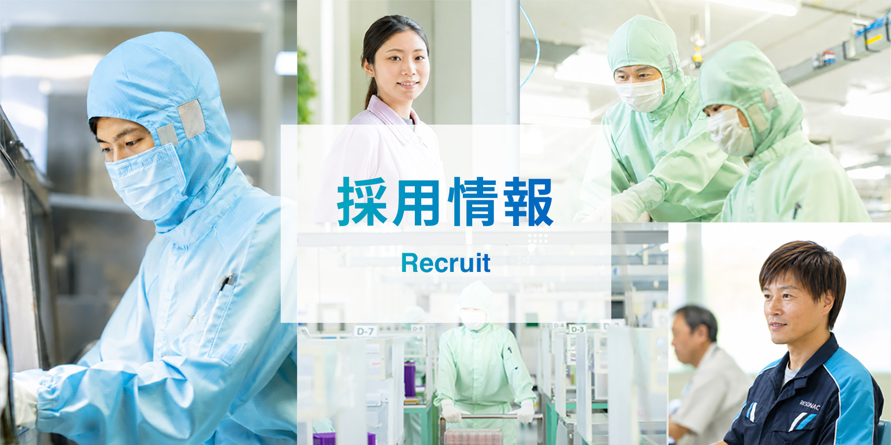 採用情報